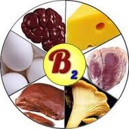 Vitamine B2 B2 pour le cerveau